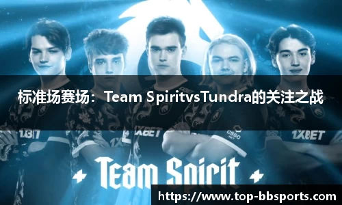 标准场赛场：Team SpiritvsTundra的关注之战